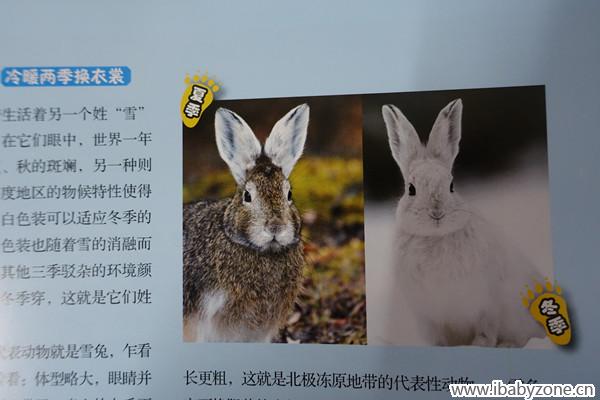 DSC00047_副本