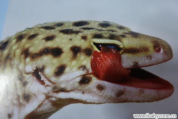 DSC00049_副本