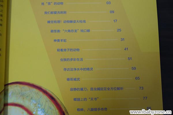 DSC00005_副本