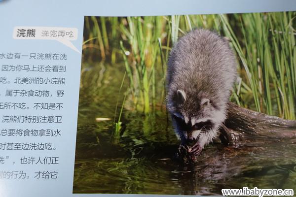 DSC00050_副本