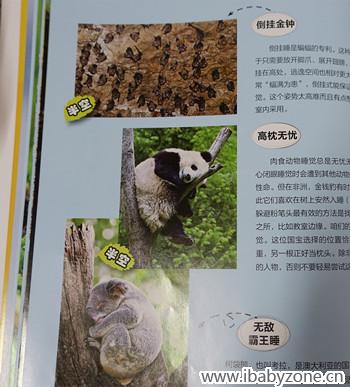 DSC00052_副本