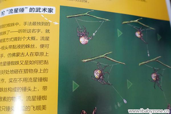 DSC00055_副本
