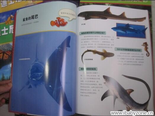 QQ图片20140912131640