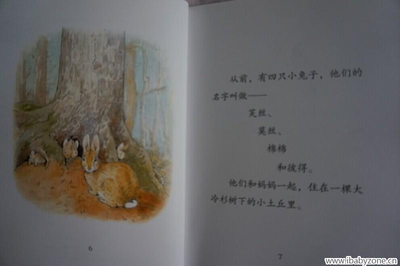 兔子4