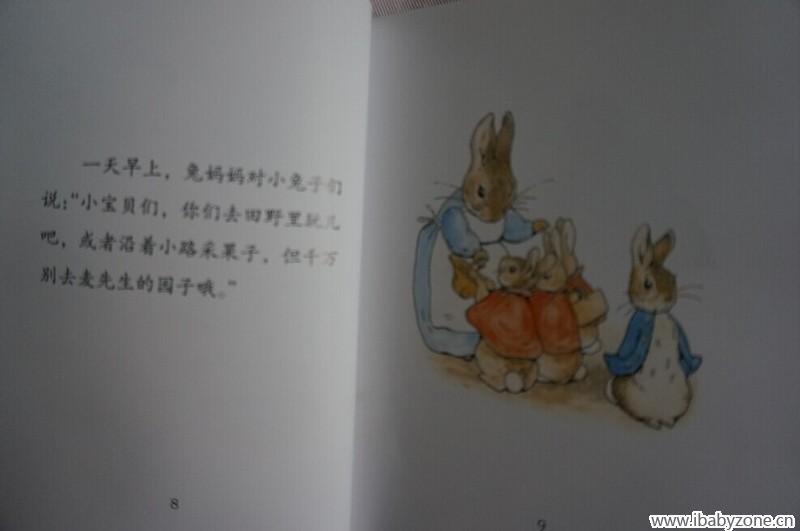 兔子5