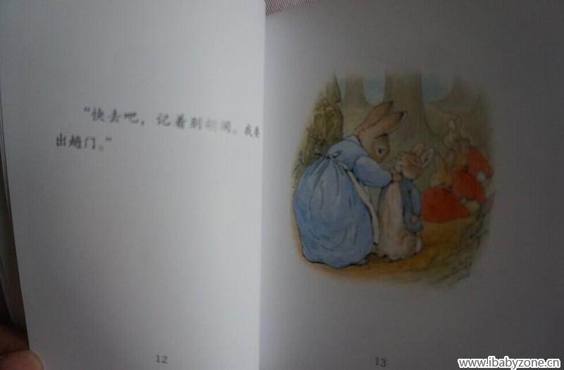 兔子6