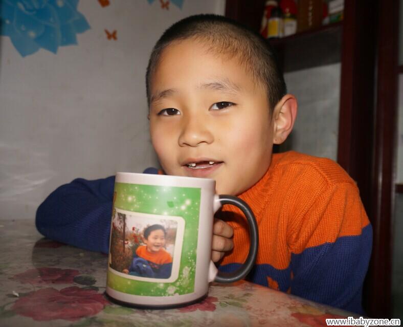 杯子1