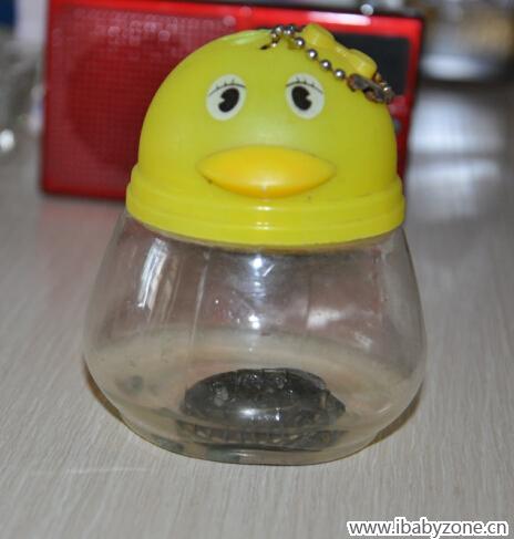 小乌龟