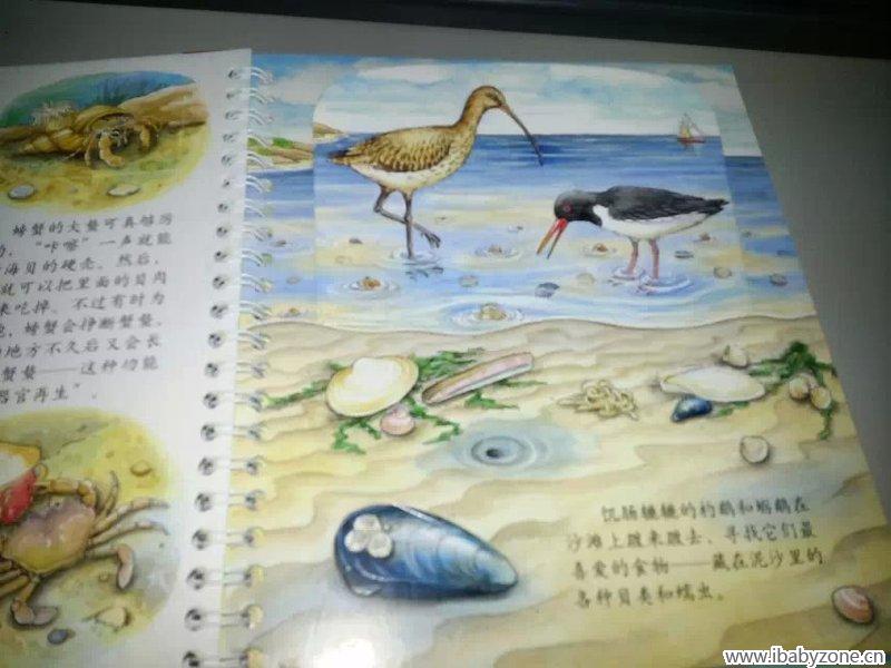 旋转 psb (7)