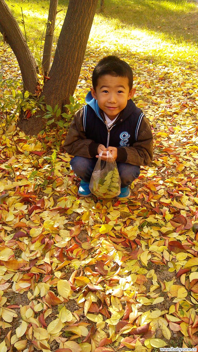 IMG_20141102_154803_副本