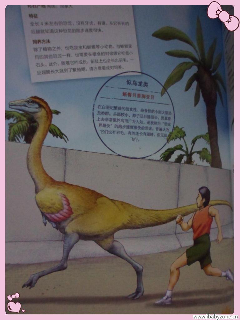 像鸟一样的恐龙