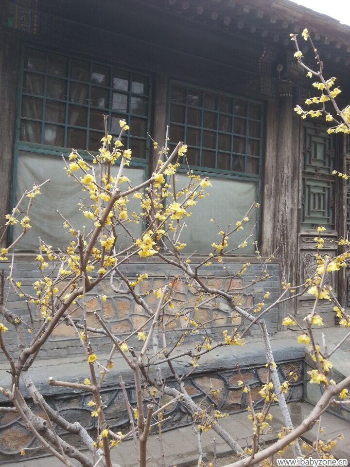 QQ图片20150316094005
