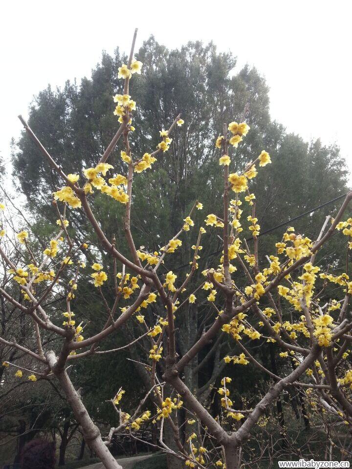 QQ图片20150316094009