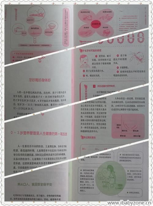 内页