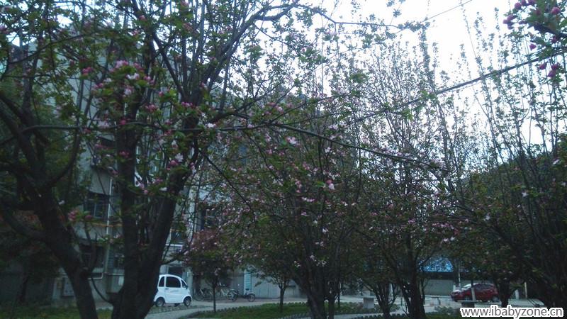 IMG_20150323_184640_副本