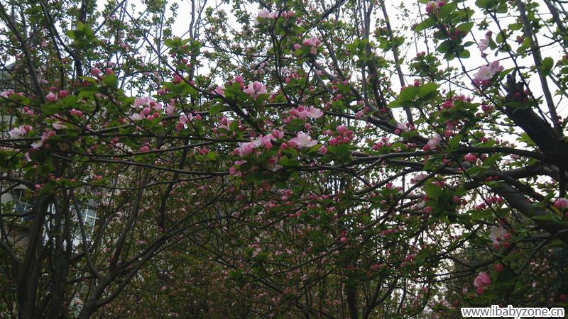 IMG_20150324_181709_副本