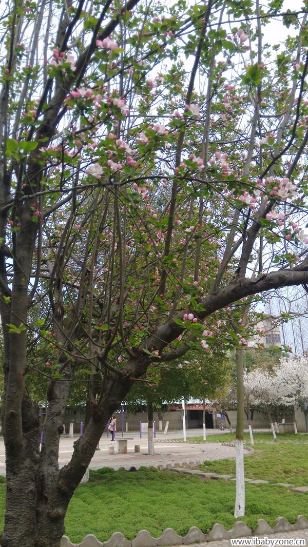 IMG_20150324_181734_副本