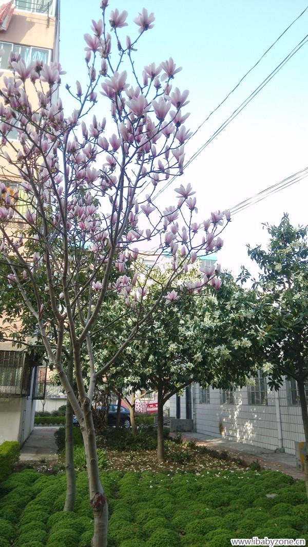 IMG_20150321_165032_副本
