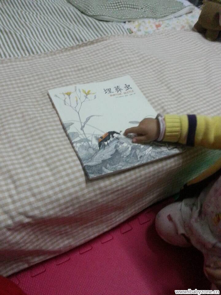 QQ图片20150326093208
