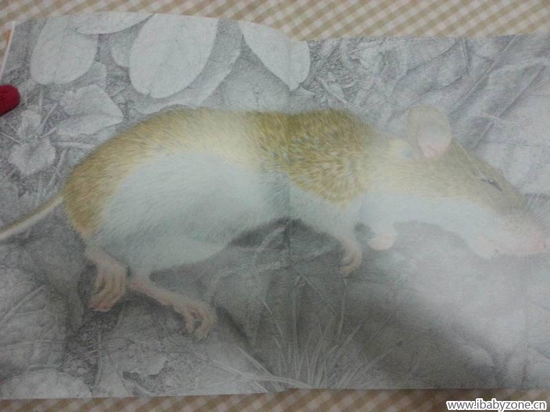 调整大小 20150323_185241