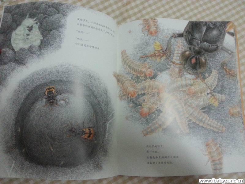 调整大小 20150323_185357