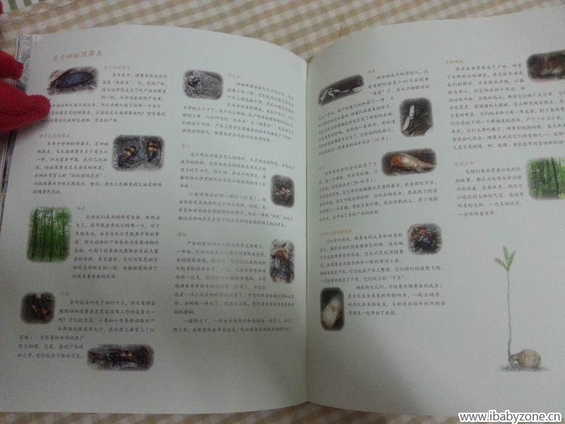 调整大小 20150323_185505