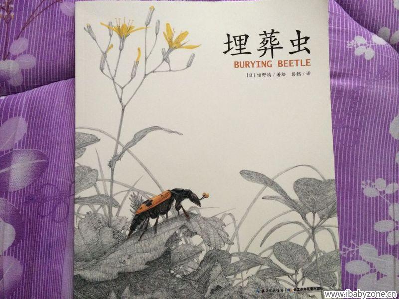 QQ图片20150412122628
