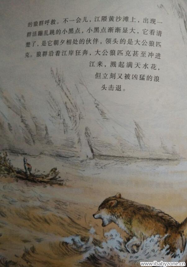 狼5