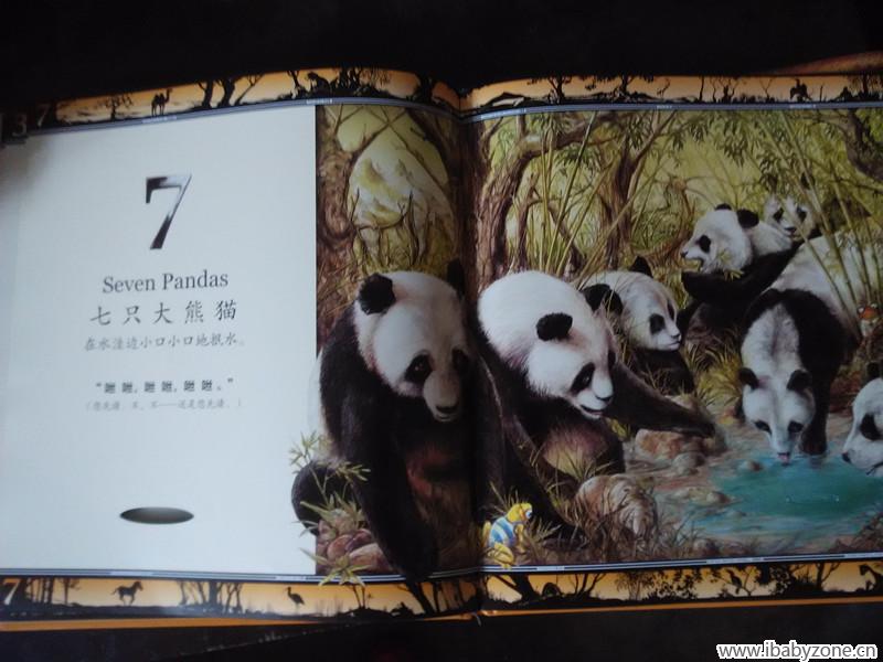 熊猫 大图