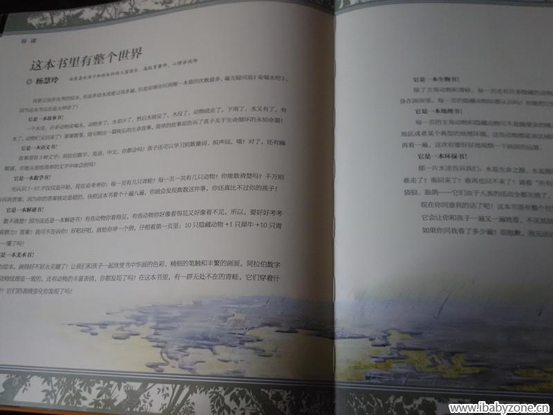 这本书有整个世界