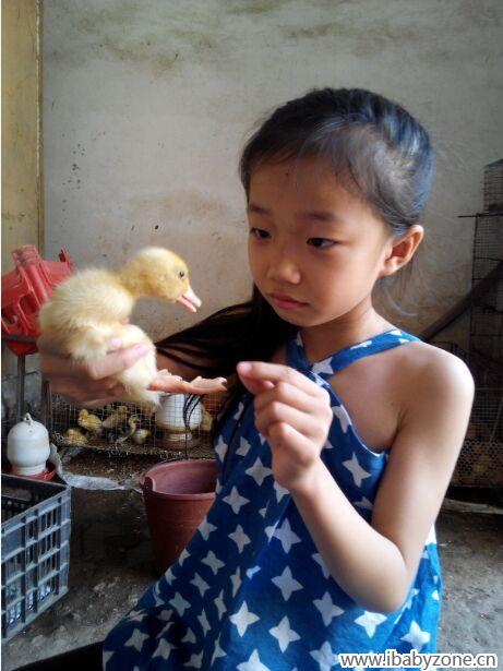 QQ图片20150715113126