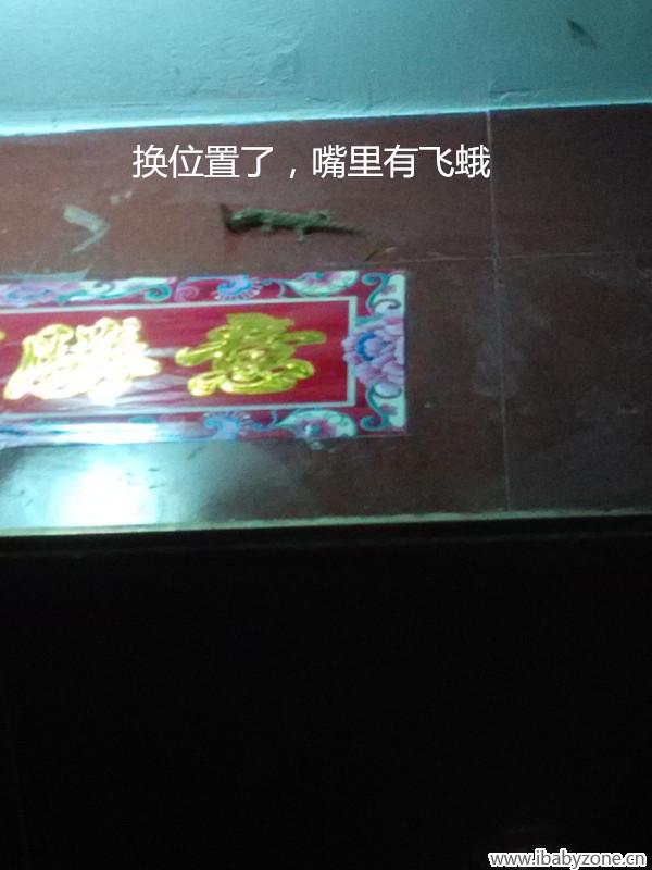 捕食