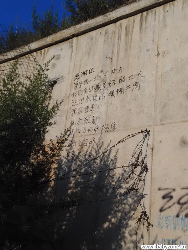 表白2