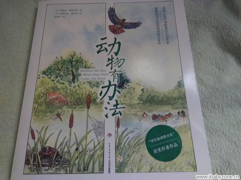 动物有办法