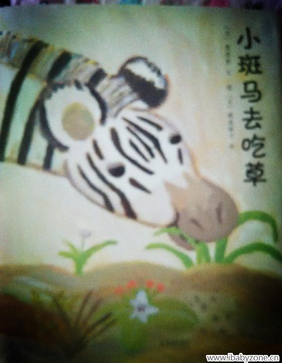 斑马去吃草