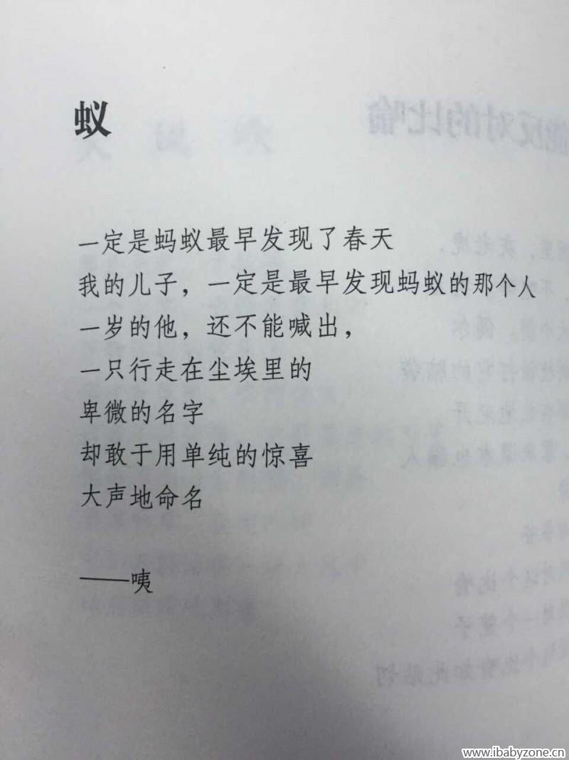 QQ图片20151015141744
