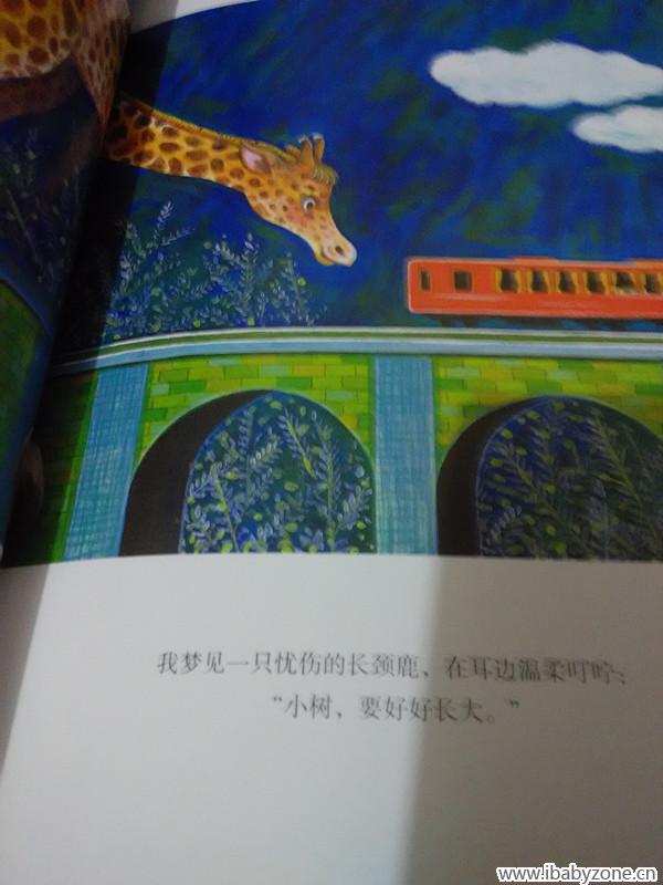 忧伤的小鹿