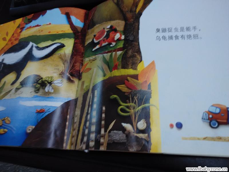 臭鼬