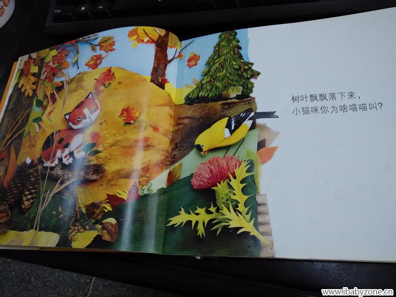开始