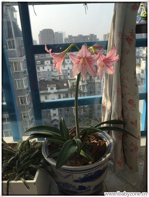 新建文件夹IMG_4412_副本1
