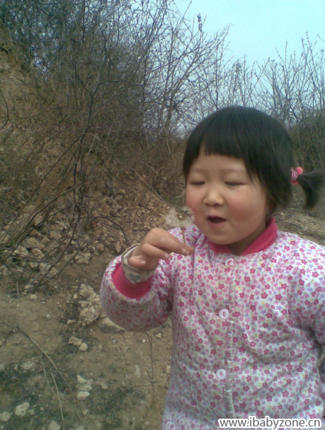 QQ截图20151112124313