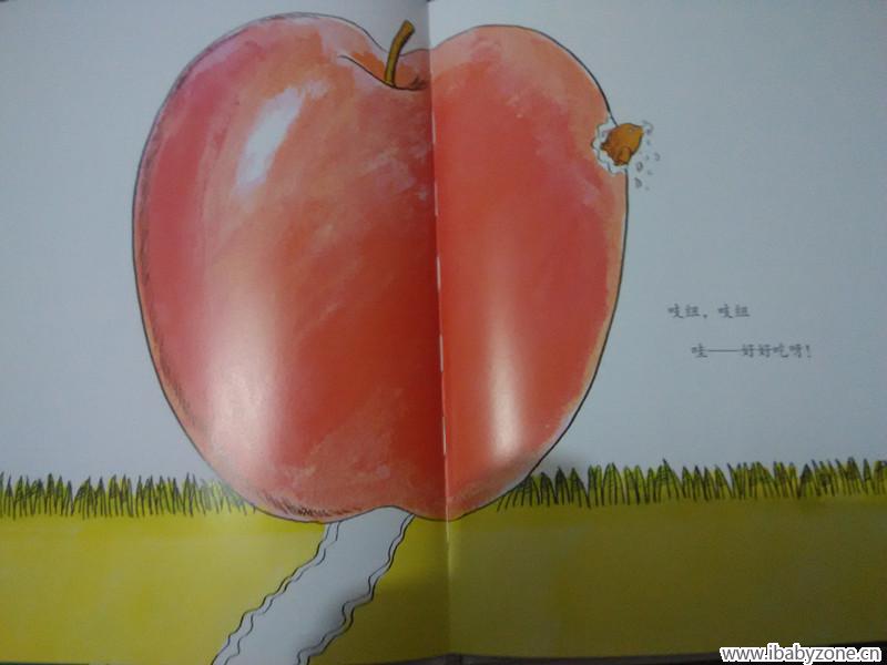 来吃啦
