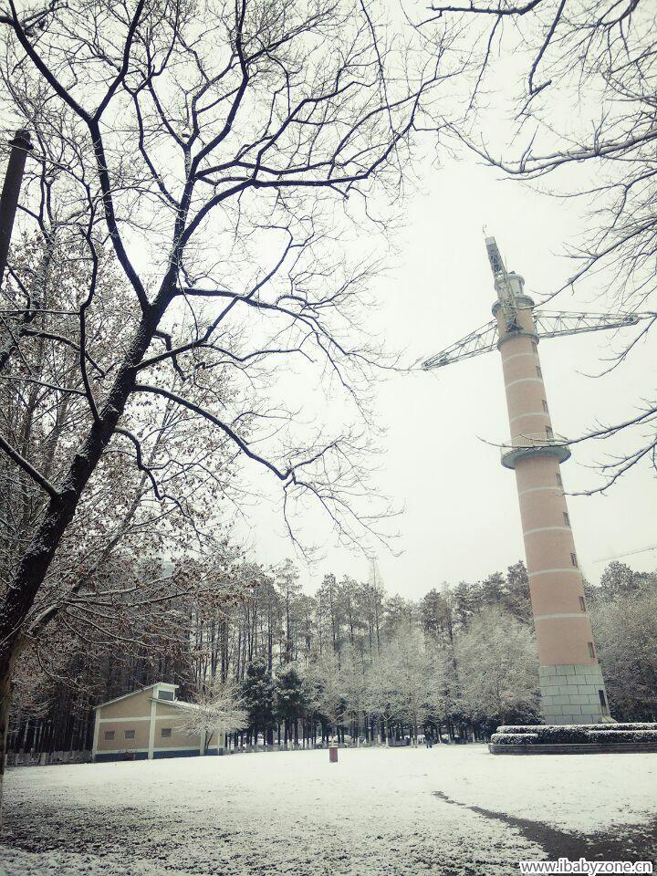 雪景