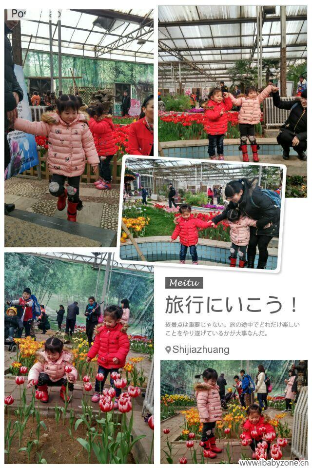 QQ图片20160224152118