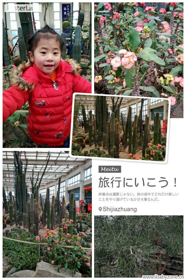 QQ图片20160224152018