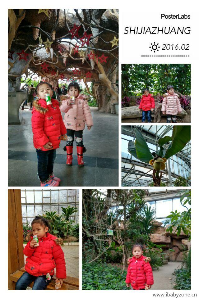 QQ图片20160224152037