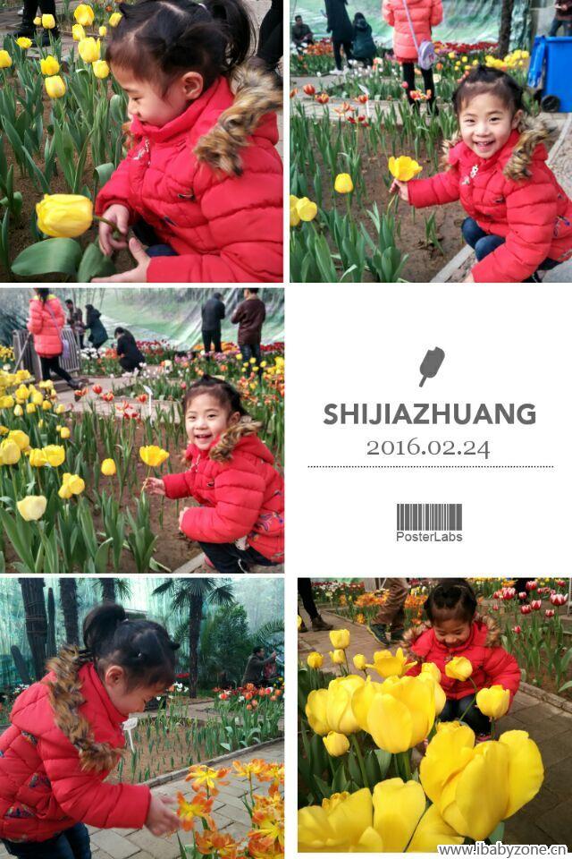 QQ图片20160224152103