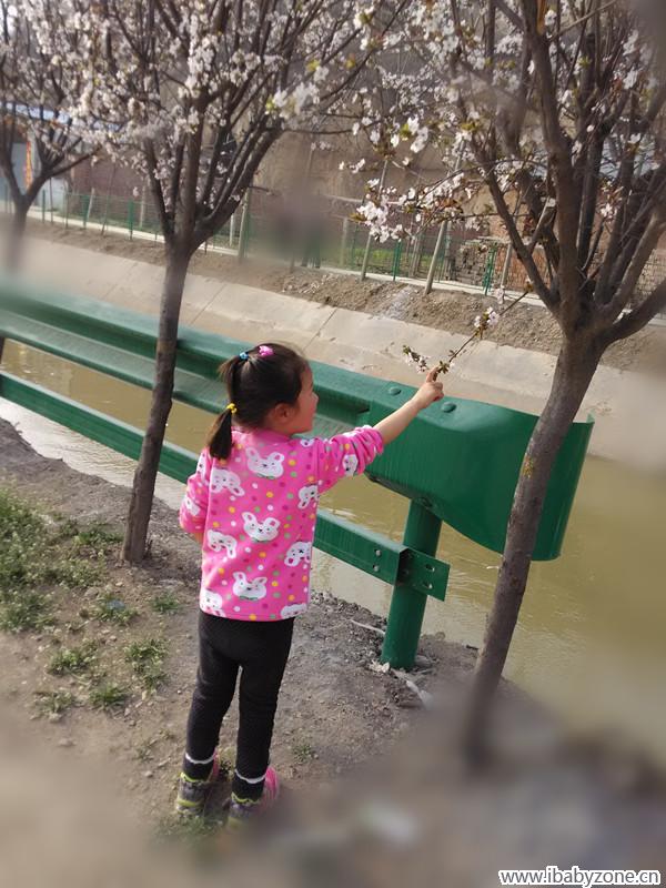 摘花