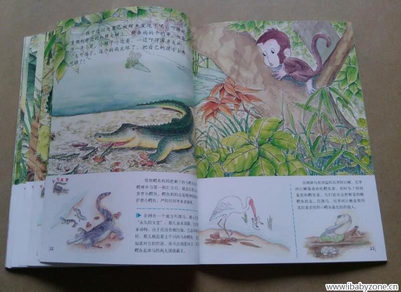 小猴子