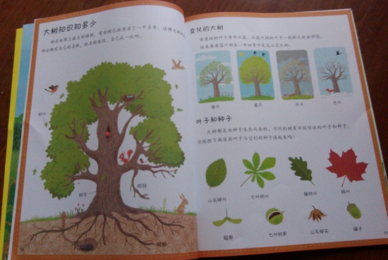 连一连
